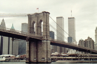 339.pjpeg