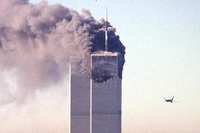 wtc65.jpg