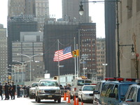 1774.pjpeg