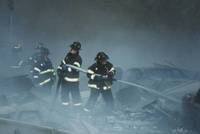 Item 91113